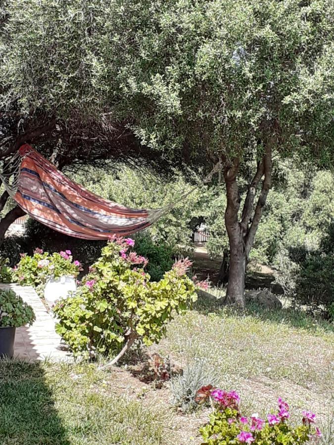 Agriturismo Gli Olivastri Appartamento Raggio Di Sole , Con Piscina E Vista Mare ,Climatizzatore,Wifi Альєнту Екстер'єр фото